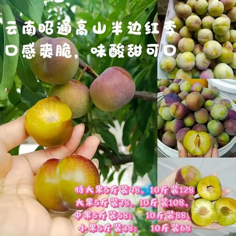 云南綏江縣的特產(chǎn)，云南省昭通市綏江縣的特產(chǎn) 云南綏江縣的特產(chǎn)，云南省昭通市綏江縣的特產(chǎn) 觀賞魚百科 第1張