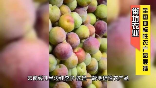 云南綏江縣的特產(chǎn)，云南省昭通市綏江縣的特產(chǎn) 云南綏江縣的特產(chǎn)，云南省昭通市綏江縣的特產(chǎn) 觀賞魚百科 第6張