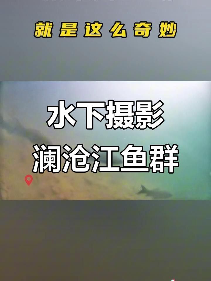 瀾滄江魚的多樣性和生態特征，瀾滄江江魚的多樣性和生態特征