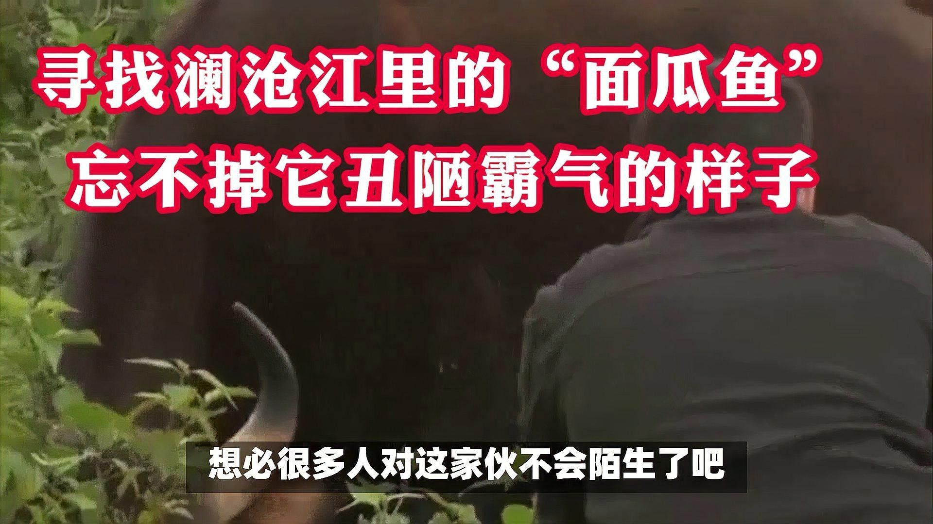 瀾滄江魚的多樣性和生態特征，瀾滄江江魚的多樣性和生態特征