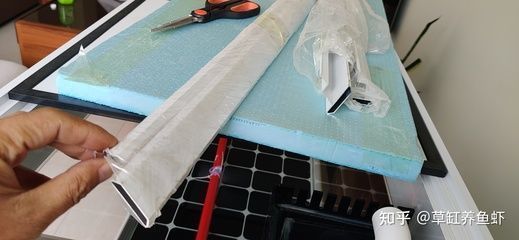 龍魚配七彩神仙魚與七彩神仙的搭配需要注意水族箱的搭配，龍魚與七彩神仙的搭配