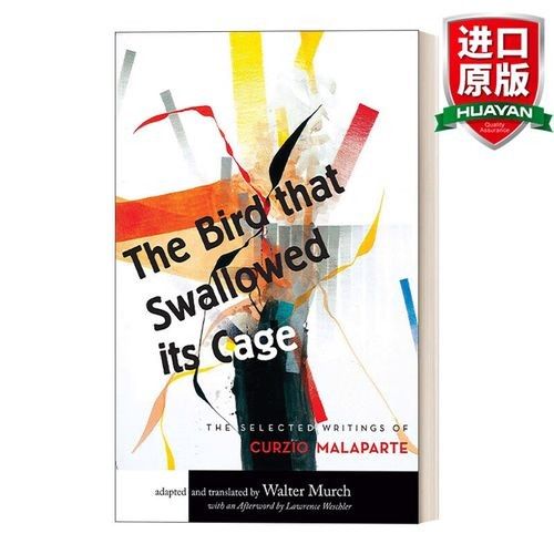 隆子龍魚的市場價格如何？，隆子龍魚的價格
