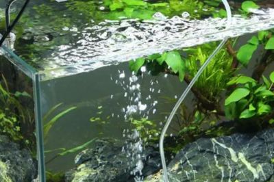新蔡騰龍水族用品店，新蔡縣騰龍水族用品店