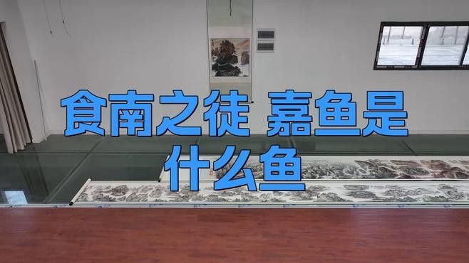 嘉魚是什么？，嘉魚是什么魚小絨球札記嘉魚是什么魚小絨球札記嘉魚是什么意思 嘉魚是什么？，嘉魚是什么魚小絨球札記嘉魚是什么魚小絨球札記嘉魚是什么意思 觀賞魚百科 第1張