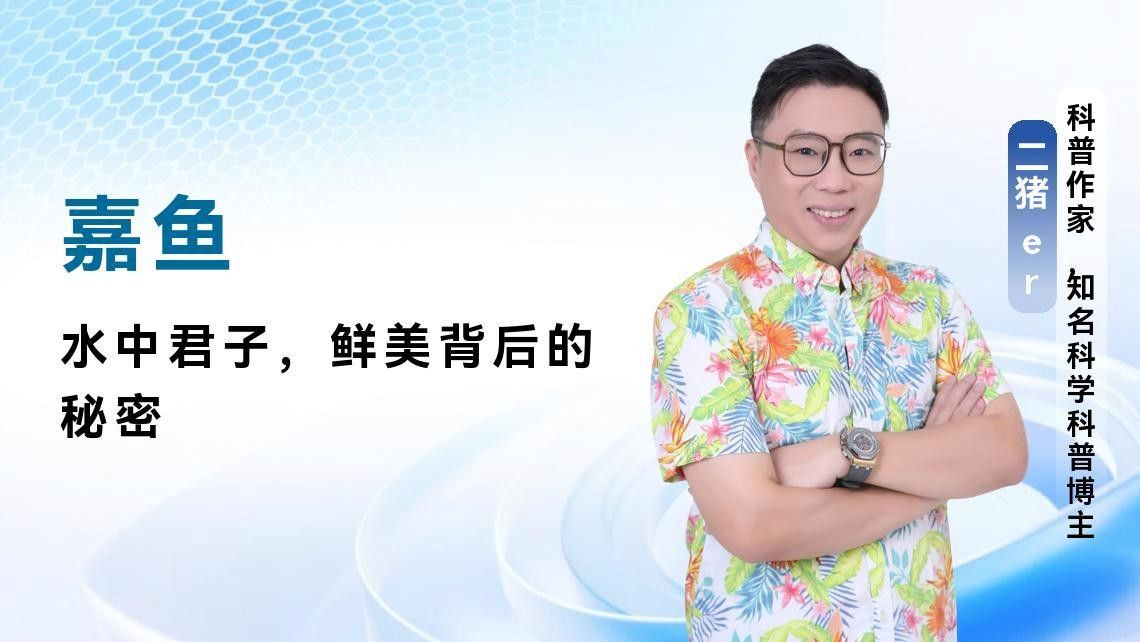 嘉魚是什么？，嘉魚是什么魚小絨球札記嘉魚是什么魚小絨球札記嘉魚是什么意思 嘉魚是什么？，嘉魚是什么魚小絨球札記嘉魚是什么魚小絨球札記嘉魚是什么意思 觀賞魚百科 第2張
