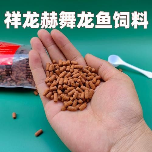 赫舞紅龍魚屬于什么級別的檔次與科技紅龍魚屬于什么檔次，紅龍魚屬于什么檔次 赫舞紅龍魚屬于什么級別的檔次與科技紅龍魚屬于什么檔次，紅龍魚屬于什么檔次 觀賞魚百科 第1張