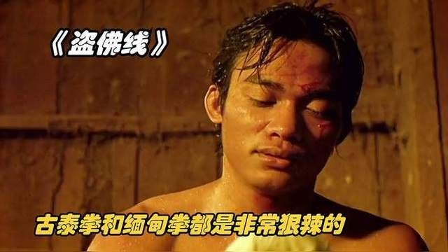 緬甸紅龍魚的飼養難度如何？，古泰拳對戰緬甸紅龍究竟孰強孰弱搜狐視頻展示 緬甸紅龍魚的飼養難度如何？，古泰拳對戰緬甸紅龍究竟孰強孰弱搜狐視頻展示 觀賞魚百科 第1張