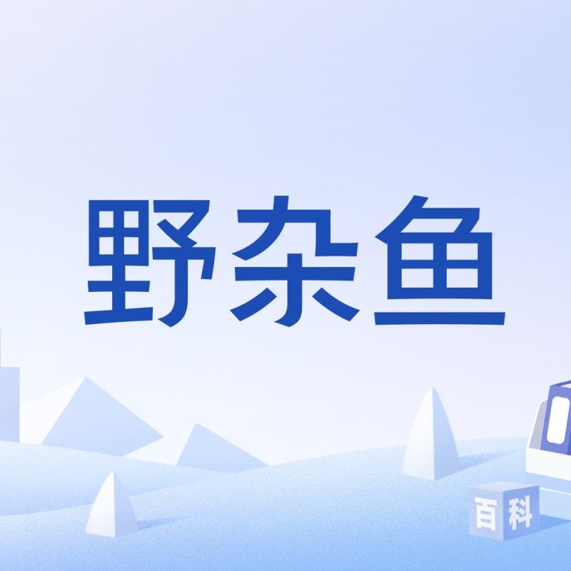 鄭州龍魚是雜魚嗎？，鄭州龍魚屬于雜魚嗎？ 鄭州龍魚是雜魚嗎？，鄭州龍魚屬于雜魚嗎？ 觀賞魚百科 第4張