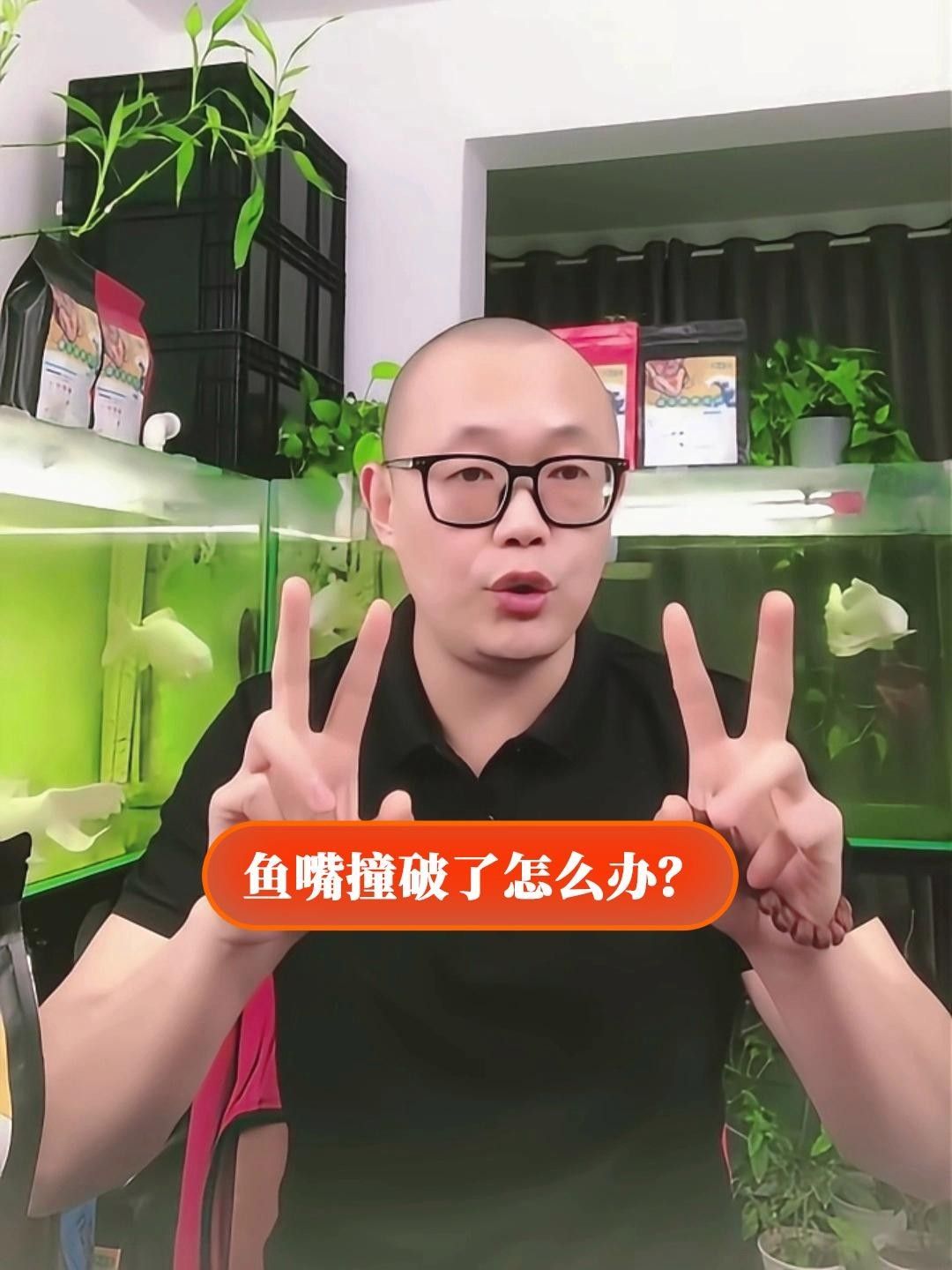 龍魚(yú)嘴撞爛了怎么辦，銀龍魚(yú)嘴撞爛了怎么辦治療魚(yú)爛嘴土方法學(xué)途里聽(tīng)