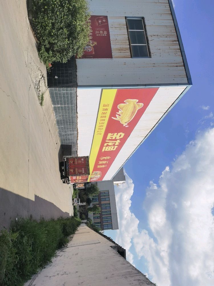 淄博金龍魚養(yǎng)殖基地是否真實存在？，淄博金龍魚養(yǎng)殖基地是否存在淄博金龍魚養(yǎng)殖基地是否存在