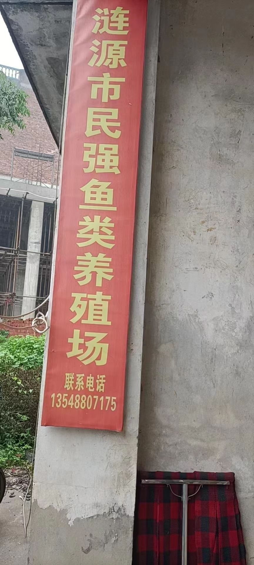 漣源龍魚養殖技巧:漣源龍魚養殖技巧一網打盡全民小視頻，養魚小藝，你知道漣源龍魚有多少個品種可為漁業