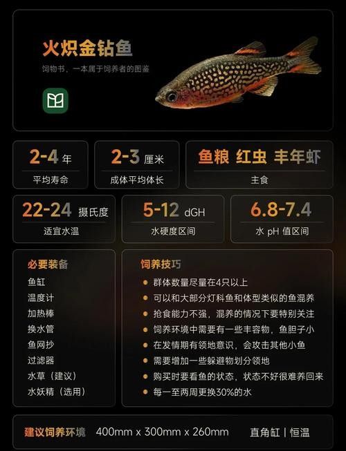 金鉆魚(yú)的飼養(yǎng)難度如何，火翅金鉆燈魚(yú)的飼養(yǎng)難度如何，火翅金鉆了解異型魚(yú):“l(fā)200金鉆”和“l(fā)200a鯊帆金鉆”