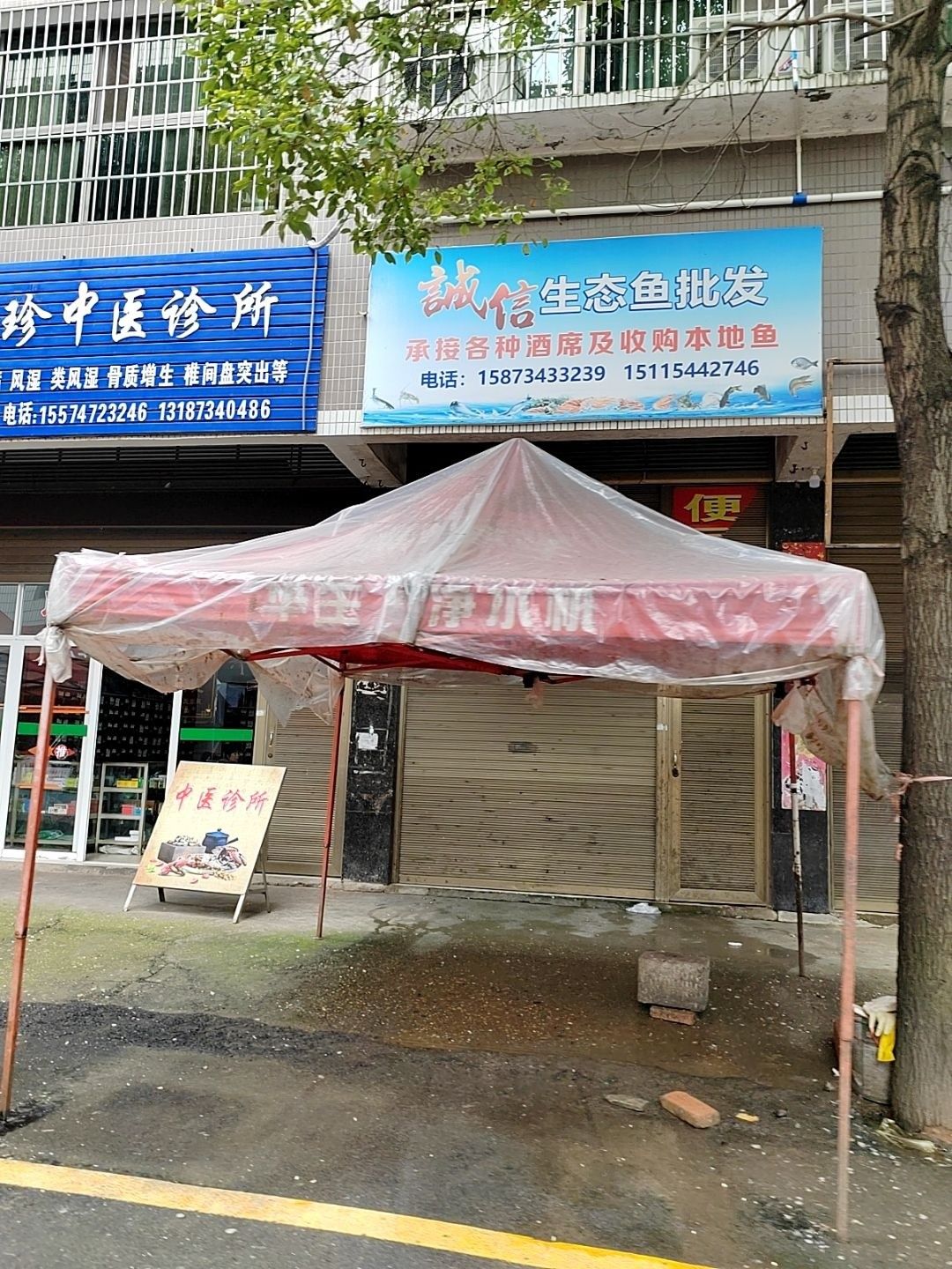衡陽市衡陽市衡陽市及周邊地區與魚類批發、養殖相關的基地和商家信息，衡陽大型魚市批發市場