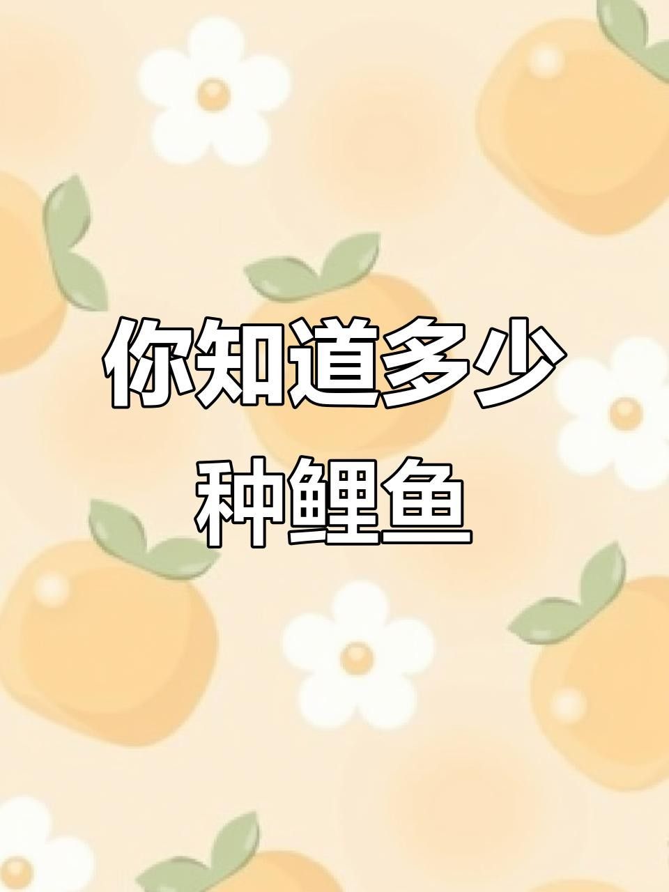 15種錦鯉品種大揭秘，你認識幾個錦鯉品種大揭秘，15種常見的鯉魚品種大揭秘