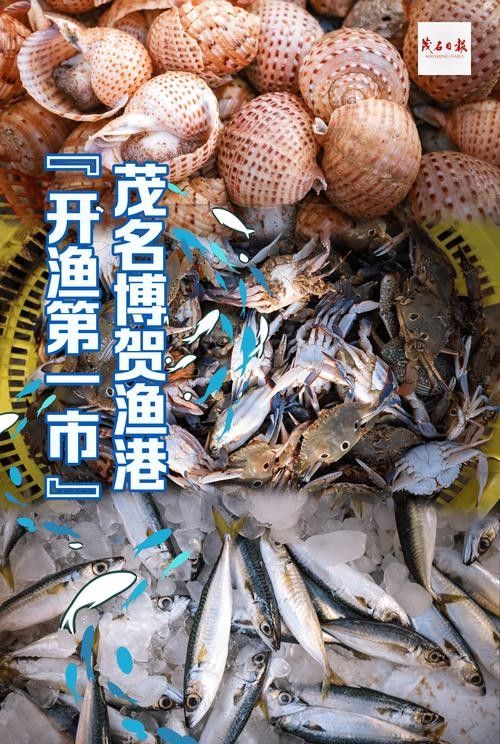 漁業品牌的重要性及其對海洋生態系統的影響力及其對海洋生態系統的影響，廣東漁業品牌有哪些