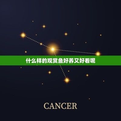 龍魚斧頭的寓意是什么？，龍魚斧頭是一種傳統的中國文化符號
