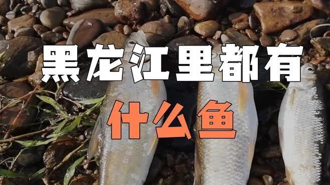 牡丹江流域有哪些著名的魚場牡丹江流域有哪些著名的魚場，牡丹江大江的魚類資源