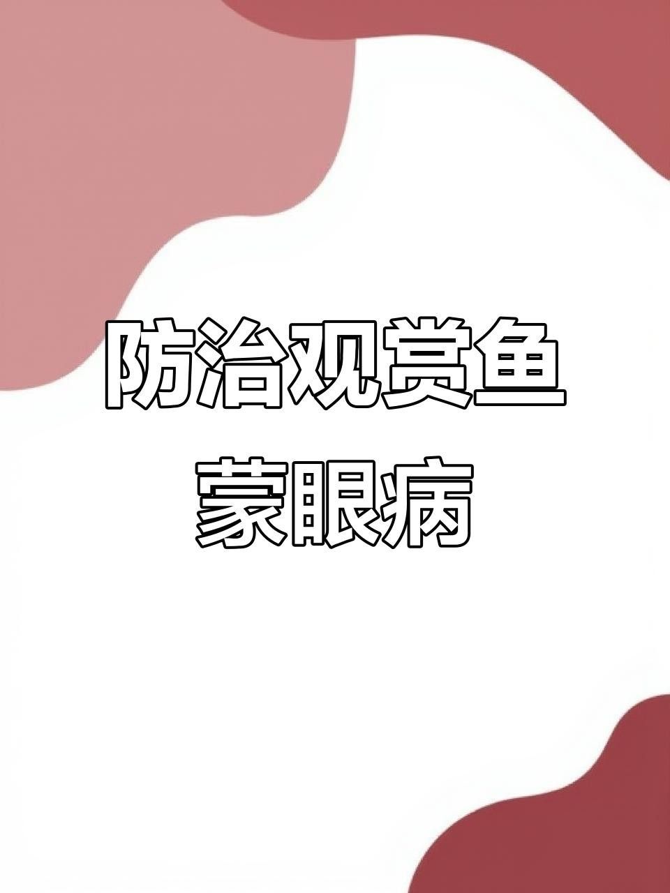 魚眼睛出現白色凸起怎么辦？，養魚筆記第3季104集嗶哩嗶哩嗶哩嗶哩瑪麗魚眼睛發白怎么回事