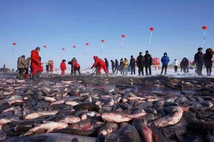 鎮(zhèn)賚哈爾淖魚的營養(yǎng)價值是多少鎮(zhèn)賚哈爾淖魚的最佳風(fēng)味，鎮(zhèn)賚哈爾淖的魚和查干湖的魚哪個更好吃 鎮(zhèn)賚哈爾淖魚的營養(yǎng)價值是多少鎮(zhèn)賚哈爾淖魚的最佳風(fēng)味，鎮(zhèn)賚哈爾淖的魚和查干湖的魚哪個更好吃 觀賞魚百科 第1張
