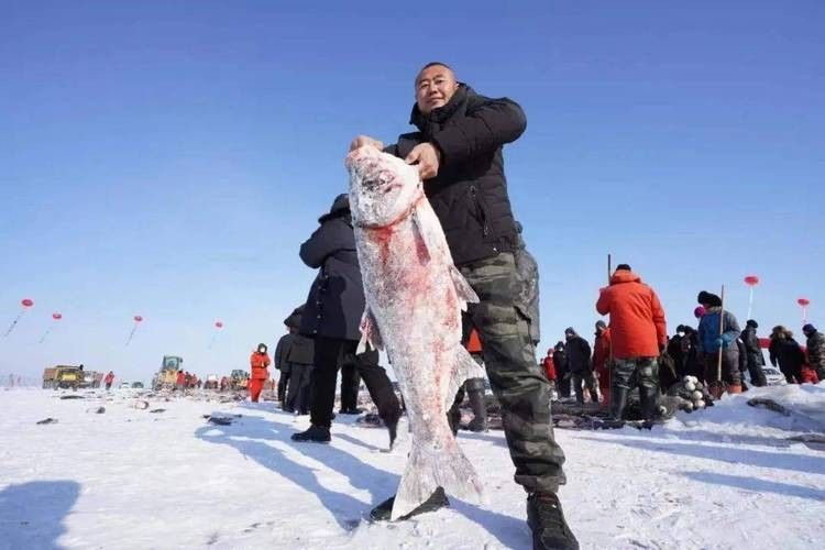 鎮(zhèn)賚哈爾淖魚的營養(yǎng)價值是多少鎮(zhèn)賚哈爾淖魚的最佳風(fēng)味，鎮(zhèn)賚哈爾淖的魚和查干湖的魚哪個更好吃 鎮(zhèn)賚哈爾淖魚的營養(yǎng)價值是多少鎮(zhèn)賚哈爾淖魚的最佳風(fēng)味，鎮(zhèn)賚哈爾淖的魚和查干湖的魚哪個更好吃 觀賞魚百科 第2張