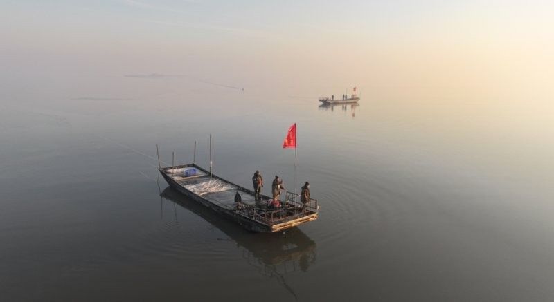 鎮(zhèn)賚哈爾淖魚的營養(yǎng)價值是多少鎮(zhèn)賚哈爾淖魚的最佳風(fēng)味，鎮(zhèn)賚哈爾淖的魚和查干湖的魚哪個更好吃 鎮(zhèn)賚哈爾淖魚的營養(yǎng)價值是多少鎮(zhèn)賚哈爾淖魚的最佳風(fēng)味，鎮(zhèn)賚哈爾淖的魚和查干湖的魚哪個更好吃 觀賞魚百科 第11張