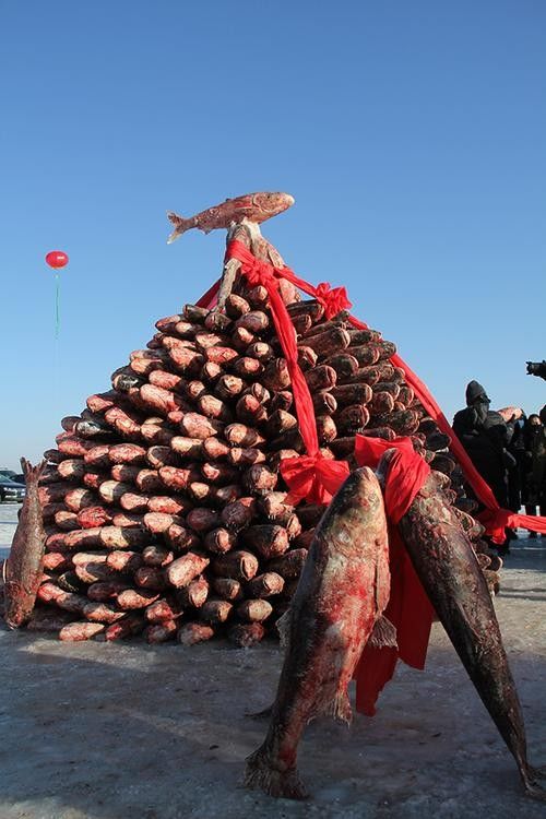鎮(zhèn)賚哈爾淖魚的營養(yǎng)價值是多少鎮(zhèn)賚哈爾淖魚的最佳風(fēng)味，鎮(zhèn)賚哈爾淖的魚和查干湖的魚哪個更好吃 鎮(zhèn)賚哈爾淖魚的營養(yǎng)價值是多少鎮(zhèn)賚哈爾淖魚的最佳風(fēng)味，鎮(zhèn)賚哈爾淖的魚和查干湖的魚哪個更好吃 觀賞魚百科 第4張