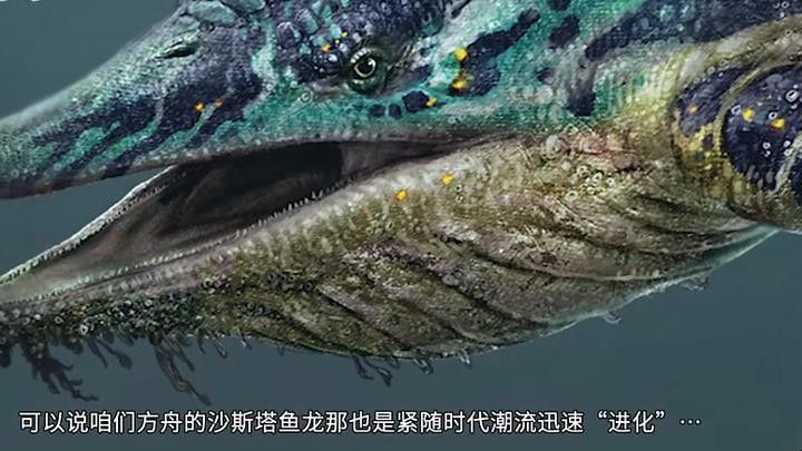 薩德斯塔龍魚，一種獨特的淡水魚類，關于薩德斯塔龍魚的介紹