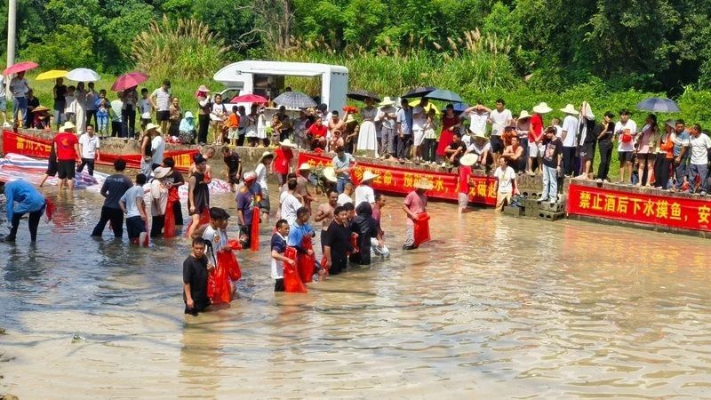 富川龍魚的生活習性與養護技巧，“富川龍魚”三招讓它們健康長壽全民小視頻