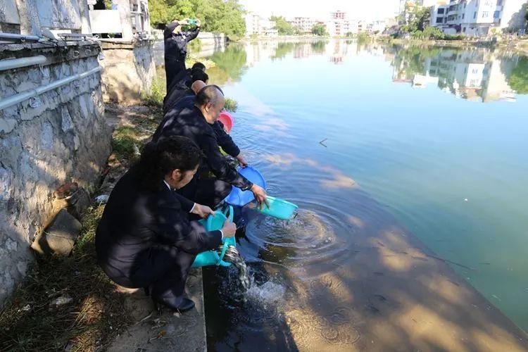 富川龍魚的生活習性與養護技巧，“富川龍魚”三招讓它們健康長壽全民小視頻