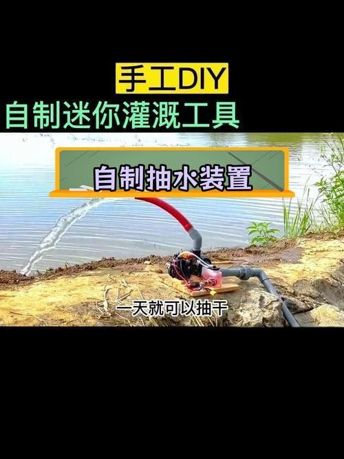 龍魚腹水抽液需要多大針，龍魚腹水抽液需要多大的針，如何抽除龍魚的腹水