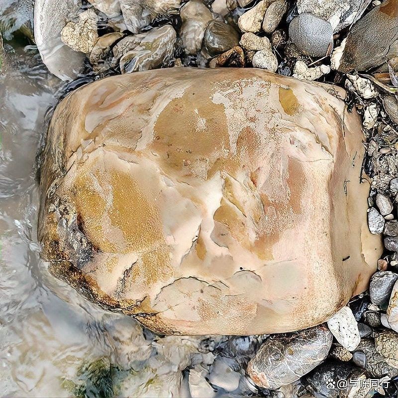 孤品大師工藝和田玉龍魚吊墜和田玉龍魚吊墜價(jià)格情況，和田玉龍魚價(jià)格一般多少錢？