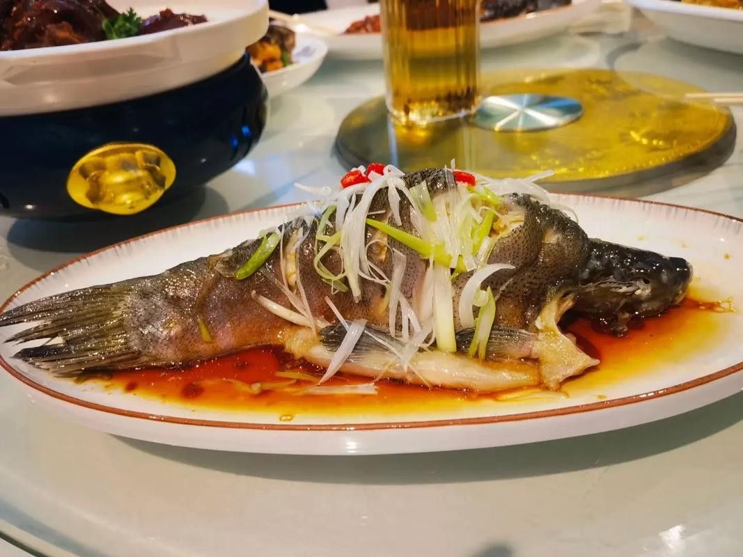 五大連池魚館哪家最好五大連池哪家魚館好吃造物工坊creadesi，五大連池哪家魚館最好吃五大連池魚館哪家最好