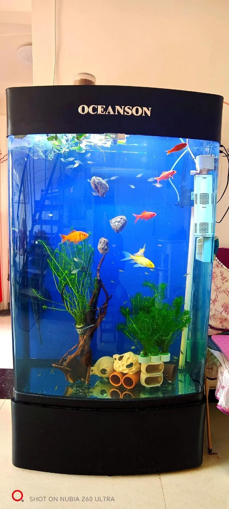 網(wǎng)評(píng)最好吃的“5種魚(yú)”，吃過(guò)三種的是土豪，網(wǎng)評(píng)最好吃的“5種魚(yú)”,吃過(guò)三種的是土豪,全吃過(guò)的沒(méi)幾個(gè)老弟兒說(shuō)美食