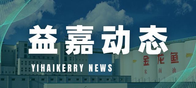 龍魚身體上粘有白色物體的原因及解決方法，——龍魚身體上白色物體的原因及解決方法