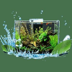 魚(yú)缸品牌十大品牌排行榜魚(yú)缸品牌十大品牌排行榜，世界水族品牌排行榜