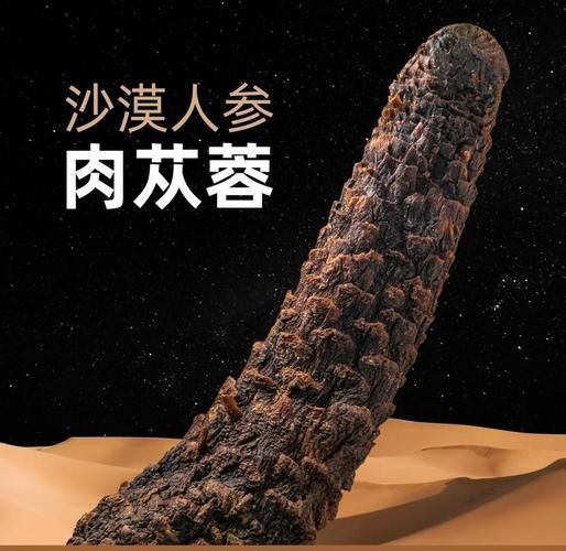 阿拉善左旗十大特產萌趣鮮包君依然還是這個老店等你，內蒙古阿拉善十大特產