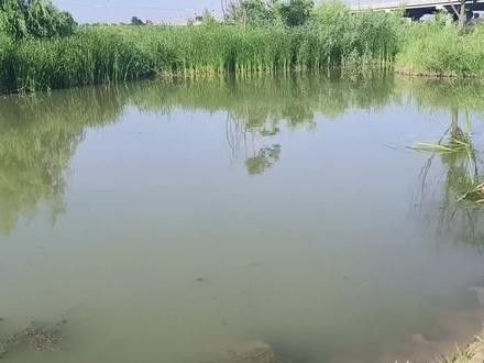 陜西富平野釣必去5個地方奇域樂游渭南初秋游怎么玩看這篇就夠了，富平野釣必去5個地方奇域樂游