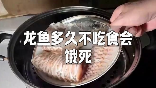龍魚拒食怎么辦五招讓它恢復(fù)食欲全民小視頻，家居小偵探龍魚拒食怎么辦