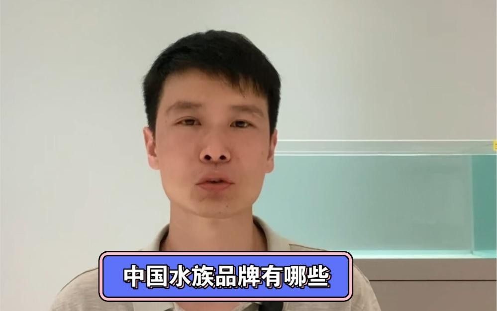 中國水族箱品牌top10權威榜單出爐，中國水族品牌top10權威榜單出爐森森（sunsun）