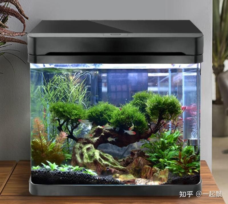 中國水族箱品牌top10權威榜單出爐，中國水族品牌top10權威榜單出爐森森（sunsun）