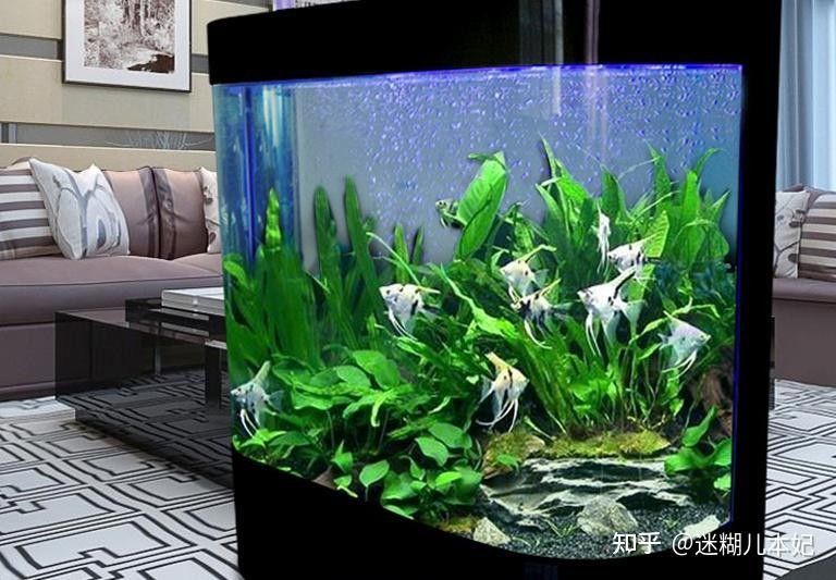 中國水族箱品牌top10權威榜單出爐，中國水族品牌top10權威榜單出爐森森（sunsun）