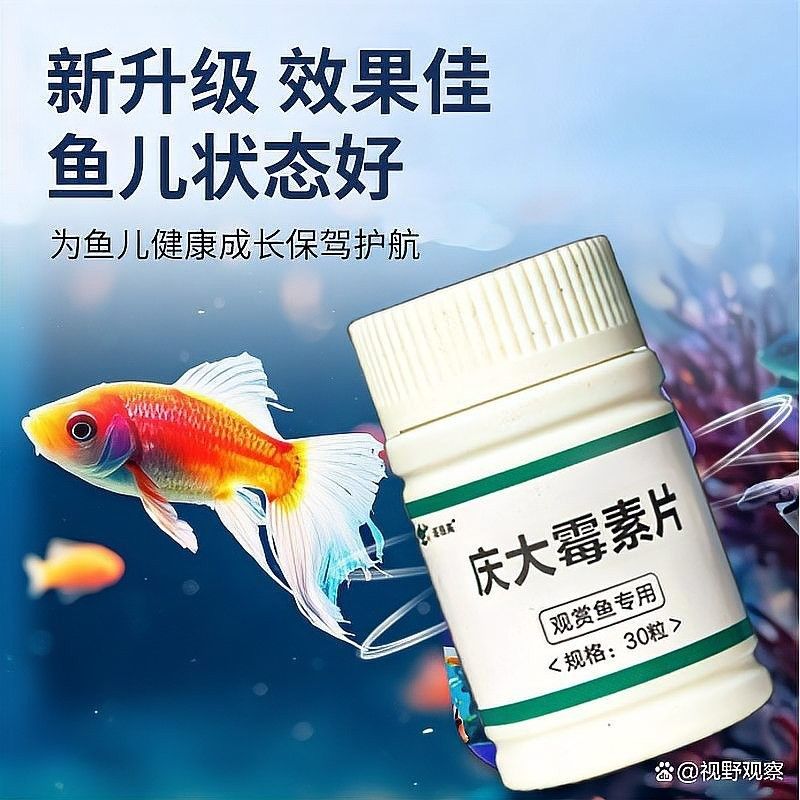 龍魚(yú)炸鱗加土霉素有效嗎？，土霉素對(duì)龍魚(yú)炸鱗有效嗎