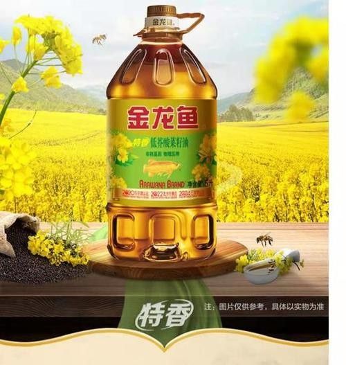 儋州金龍魚的養殖現狀及其經濟價值，儋州市2023年招商引資工作回眸2023年招商引資工作回眸