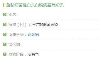 龍魚嘴部發白是什么原因？，龍魚嘴發白后還能活多久，