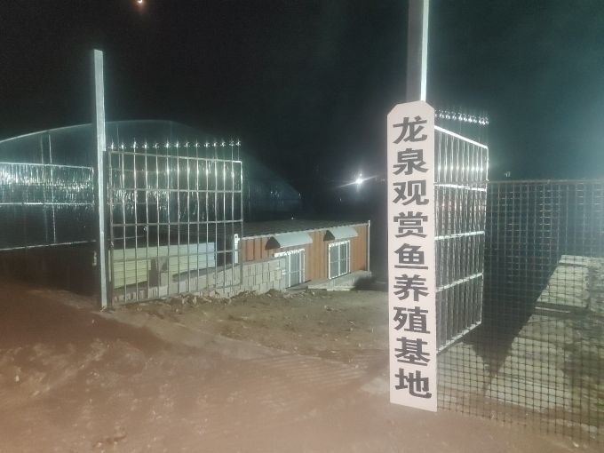 費縣龍魚養(yǎng)殖技術(shù)有哪些？，山東臨沂費縣龍魚養(yǎng)殖基地山東省臨沂市費縣龍魚養(yǎng)殖基地