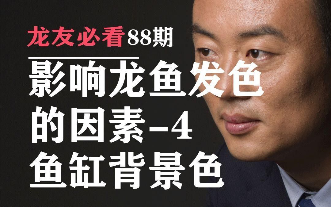 榕江龍魚最簡單且鮮明的顏色組合有哪些？，榕江龍魚最簡單三個顏色組合
