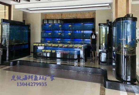 紅龍魚用什么燈最好，養紅龍魚用什么燈最好