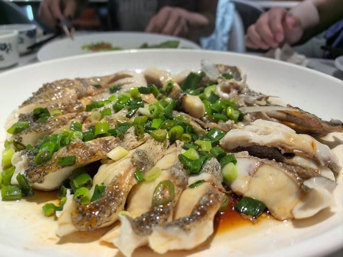 阿勒泰的冷水魚(yú)，阿勒泰冷水魚(yú)是什么魚(yú)