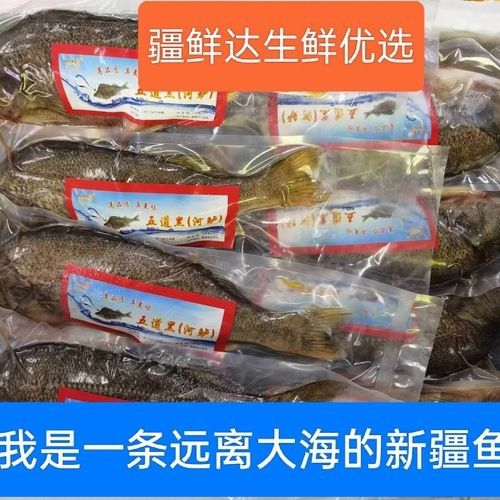 阿勒泰的冷水魚(yú)，阿勒泰冷水魚(yú)是什么魚(yú)