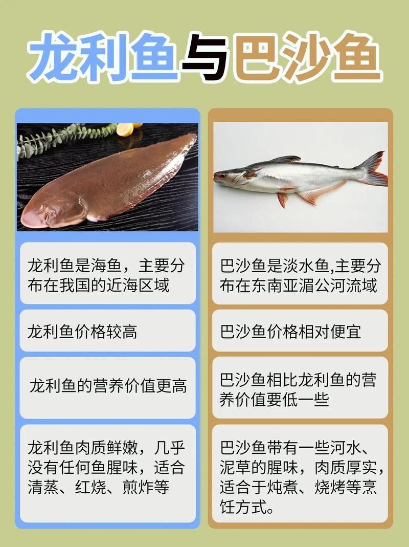 沙龍魚的繁殖方式是怎樣的？，沙龍魚的生活環境是怎樣的，沙龍魚的繁殖方式是怎樣的